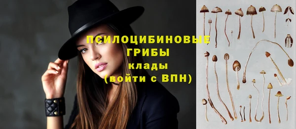 прущий лед Богородицк