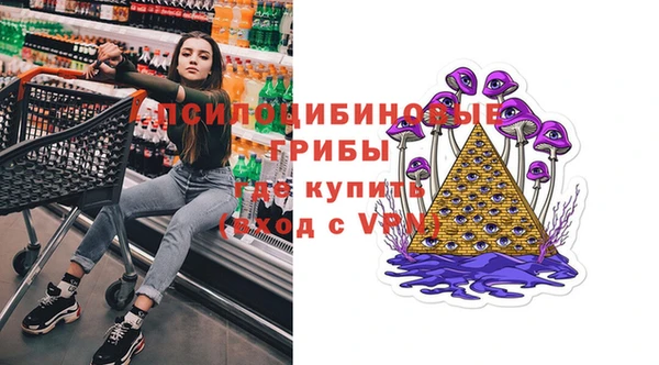 марки nbome Богданович