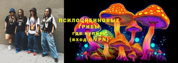 прущий лед Богородицк