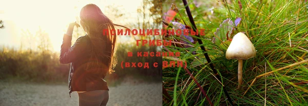 скорость mdpv Белокуриха