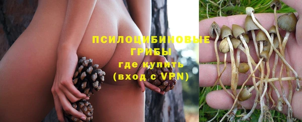mdpv Беломорск