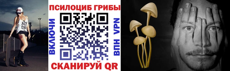 продажа наркотиков  маркетплейс состав  Галлюциногенные грибы мухоморы  Реж 