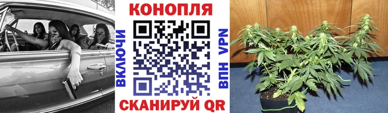 купить Реж Шишки марихуана Bruce Banner